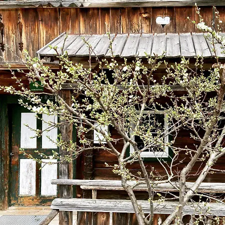 Berghaus Wiesegg - Uriges Tiroler Bauernhaus Holiday home Fuegenberg